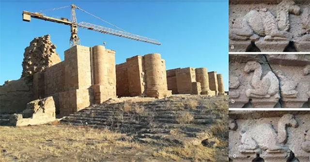 A hybrid creature with mysterious 'power' in a 2,000-year-old ancient temple