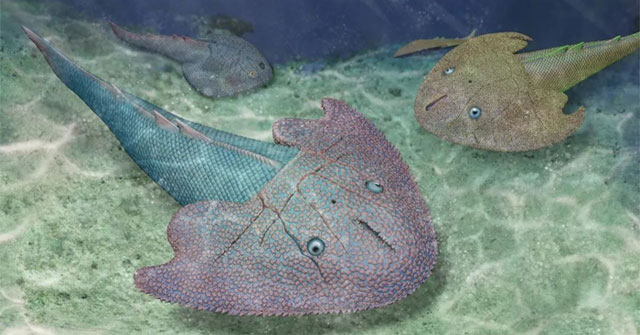 A series of surprises about 'monster fish' existed in Vietnam 415 million years ago