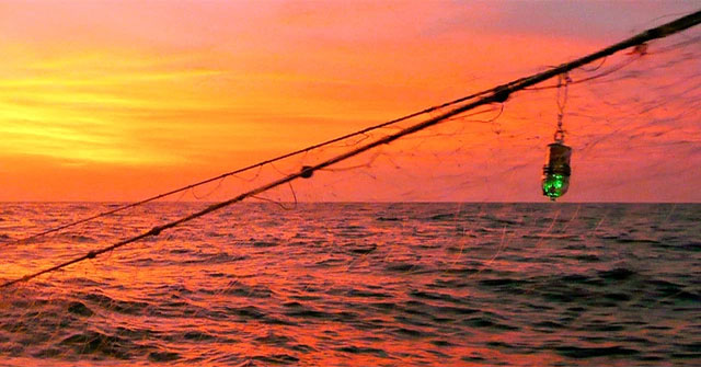 A simple invention that can save the lives of many sea creatures accidentally caught in nets