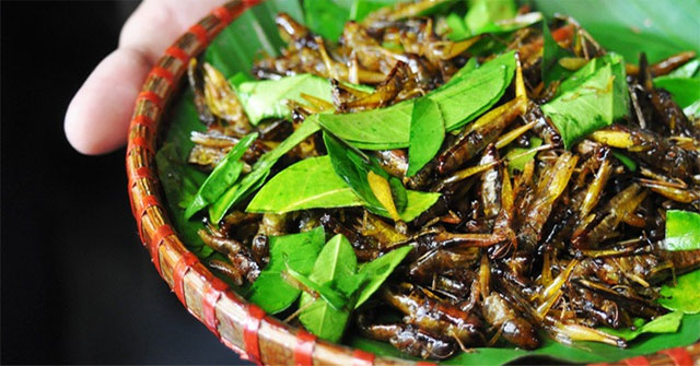 A 'specialty' dish of the season: Vietnamese people love it but there is a potential risk of illness, which can cause death