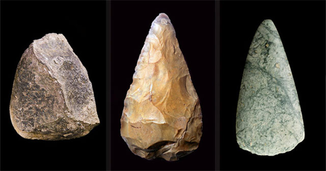 A species that has evolved enough to use tools like stone humans