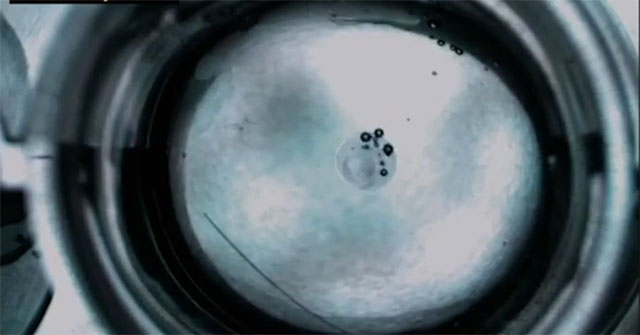 A team of experts in creating liquid robots that work continuously without electricity