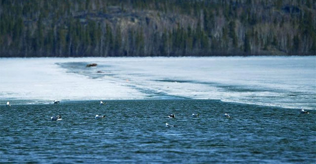 Acid concentration in the ocean has reached a record high in 26,000 years