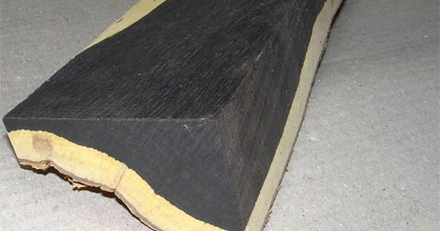 African blackwood, one of the most expensive woods in the world