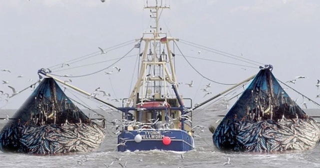 After 170 years of industrialization, humans have broken a law that has existed for billions of years in the ocean