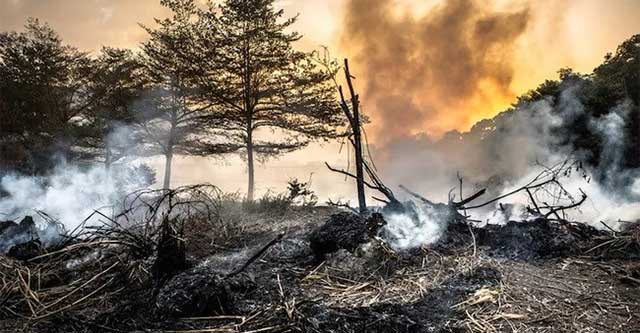 AI can predict 'tipping points' for future disasters