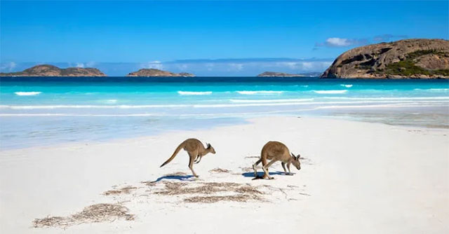 Alarm about seawater encroachment on sand dunes in Australia