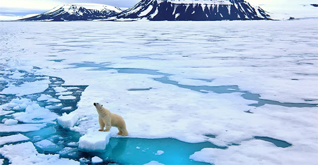 Alarming milestone: the Arctic Ocean will be ice-free in just 3 years