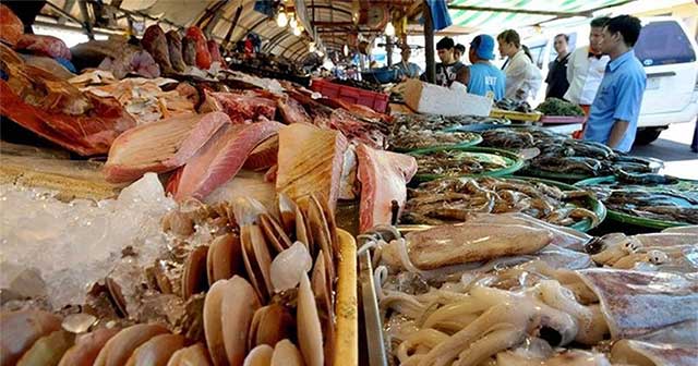 Algae that causes memory loss discovered in Philippine waters