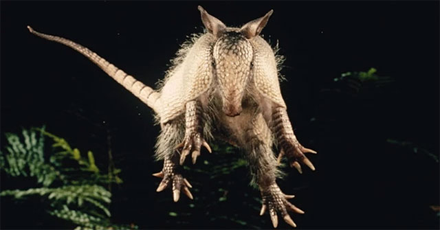 'Alien hunt' in a town surrounded by armadillos in America