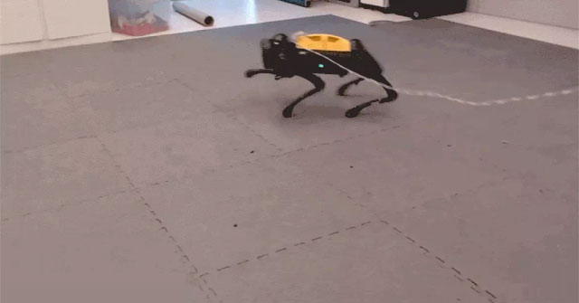 Although not programmed in advance, this robot is able to learn to walk on its own!