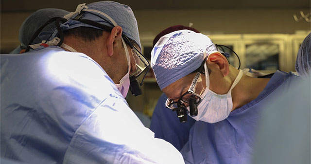 America transplanted pig kidneys to living humans for the first time
