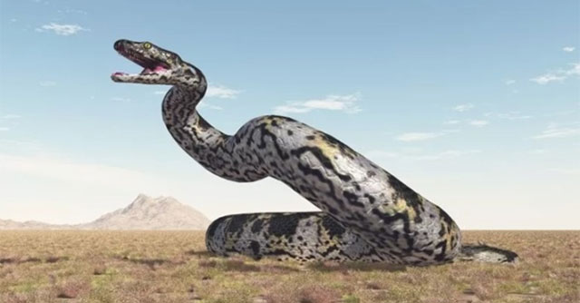 An Indian research team found a fossil that could be the largest snake on the planet