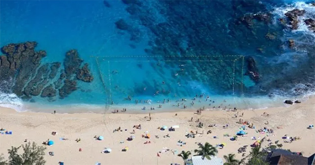 An island as beautiful as paradise, but tourists are afraid of shark attacks
