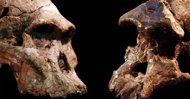 Analyzing cosmic matter, finding Earth's first human?