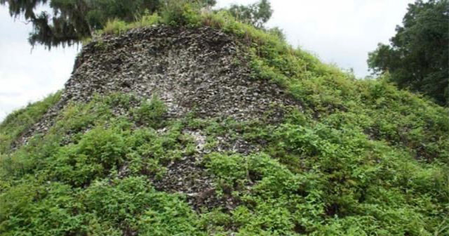 Ancient Australians and Americans ate billions of oysters for thousands of millennia