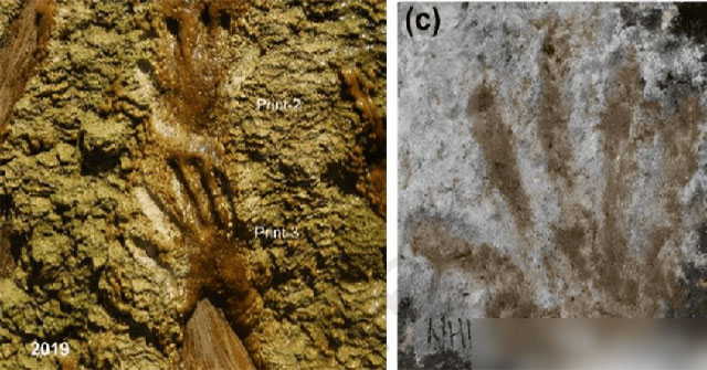 Ancient Handprints on the Qinghai-Tibet Plateau: Unique Evidence of Human Evolution