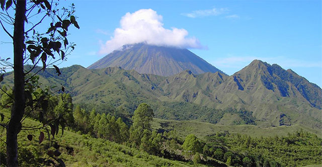 Ancient humans may still live on Indonesia's Flores island