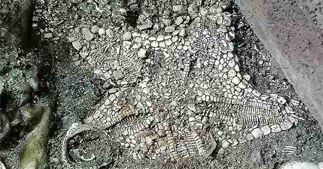 Another mystery of the sacred Mexican temple challenges the scientific world