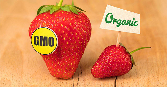 Are genetically modified foods really scary?