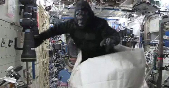 Astronaut wears a gorilla suit to the International Space Station ISS