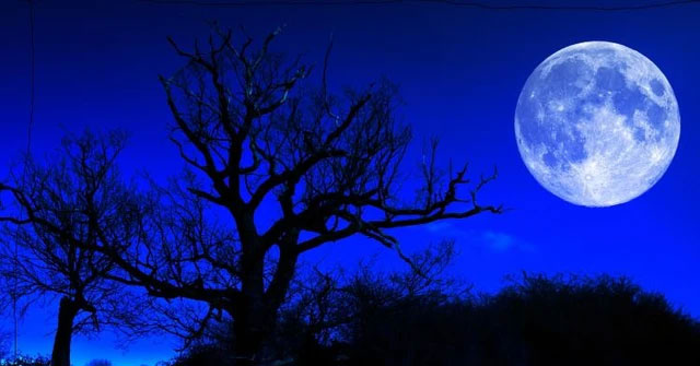 Astronomical phenomena to look forward to in 2024