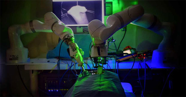Automated robot successfully operated pig intestines