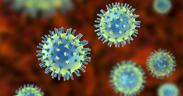 Bacteriophage virus - The virus that can save millions of lives