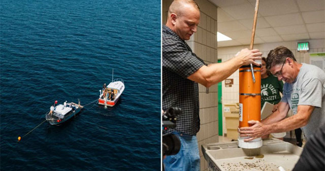 Barley grains revived from 145-year-old shipwreck to make wine
