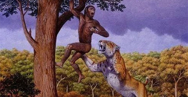 Besides humans, what animal has basically no natural enemies?