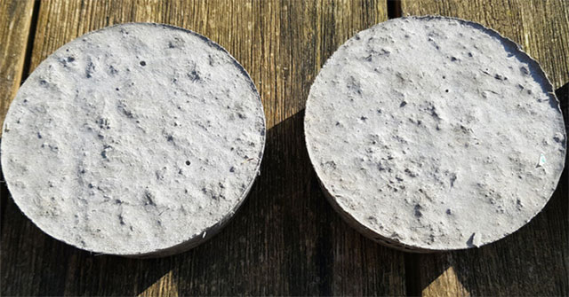 Bio-receptive concrete promotes moss growth