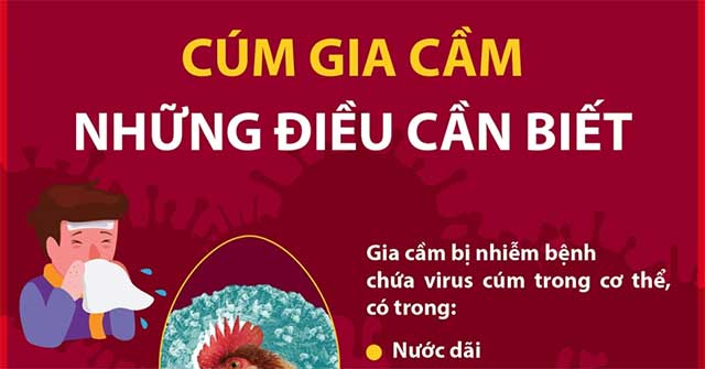 Bird flu and things you need to know