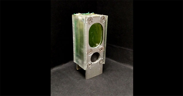 British scientists develop a computer that runs on cyanobacteria in 6 months
