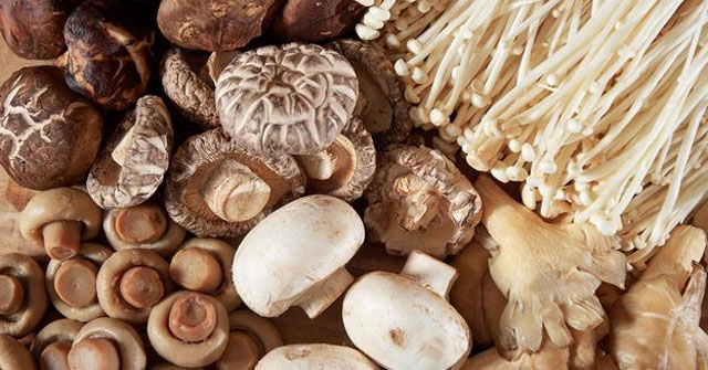 Can eating mushrooms help reduce the risk of depression in humans?