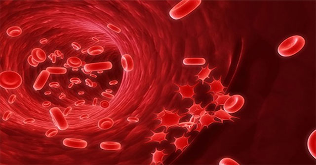 Cells in the body are constantly renewing themselves, why do people still age?