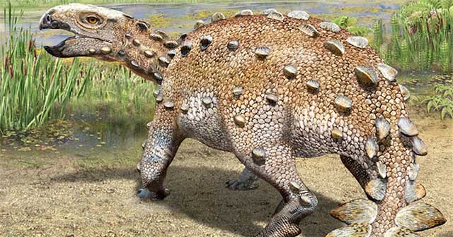Chile discovered a new 'armored' dinosaur with a strange tail
