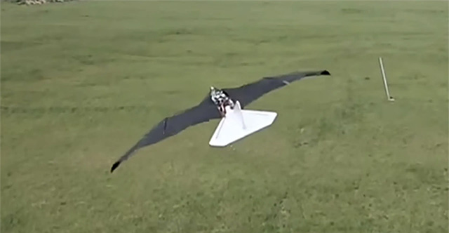 China announced a bird-like drone