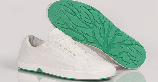China develops biodegradable shoes