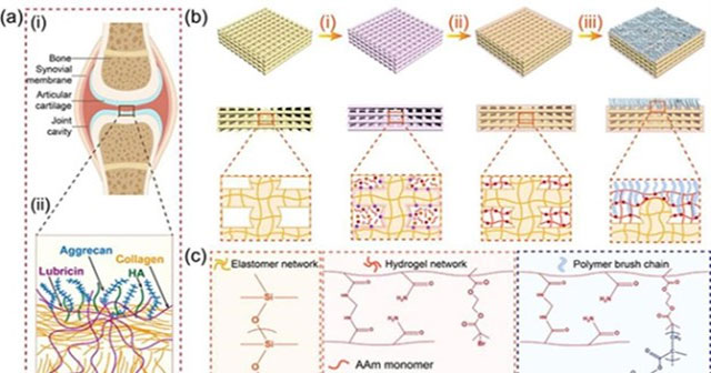China develops highly applicable artificial joint cartilage