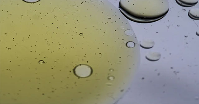 China discovers unprecedented water and salt separation technology with purity up to 99.9%