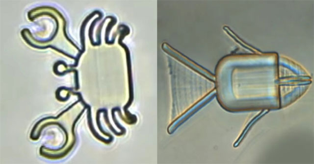 China introduces tiny robot that delivers drugs to kill cancer cells