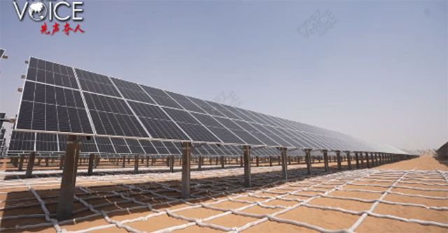 China invents giant 'net' to help cover deserts with trees, making the world admire