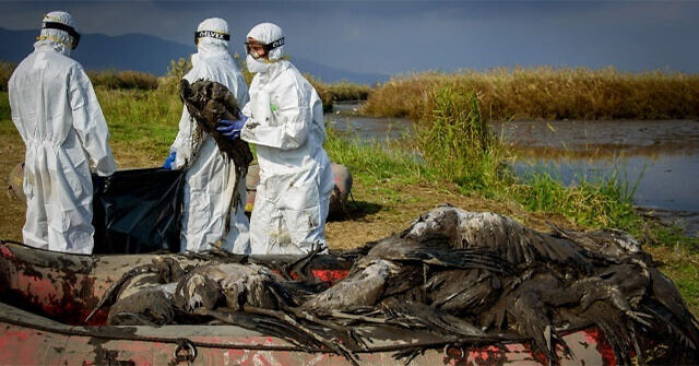 China records cases of H5N1 clade 2.3.4.4b
