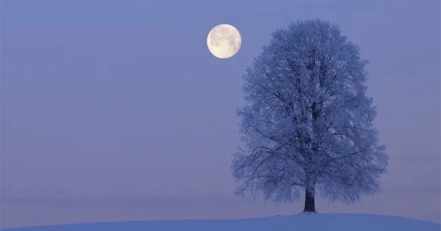 Cold Moon Rises with Jupiter This Weekend