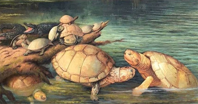 Colombia discovered giant turtle fossils dating back 57 million years ago