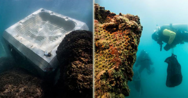 Concrete increases durability when 'feeding' marine life