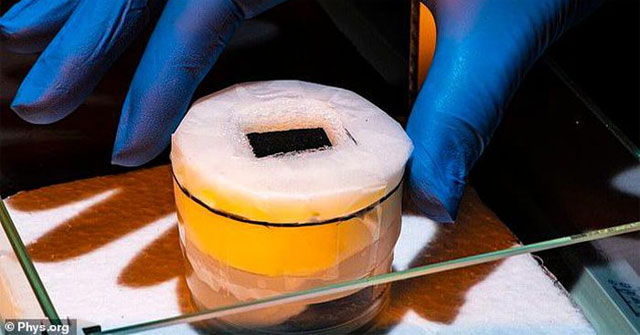 Cow dung helps filter seawater into pure water