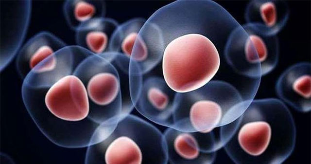 Creating human stem cells from chemical molecules