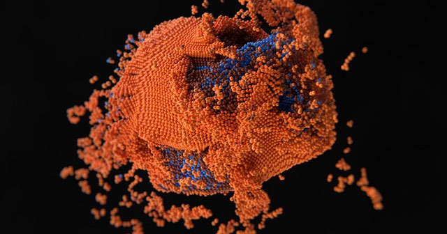 Death is not the end: New mathematical models show cells can be revived!
