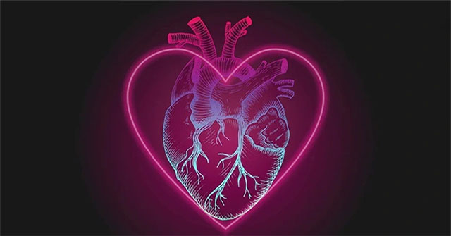 'Decoding' the heart-shaped symbol